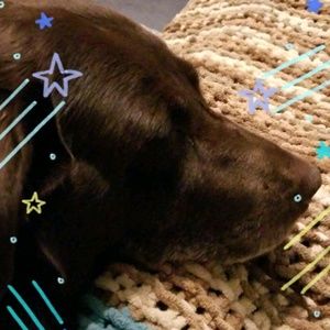 Meet your Posher, Todd